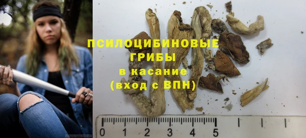 метадон Аркадак